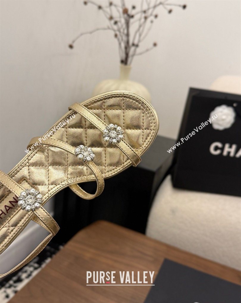 Chanel Lambskin Leather Low Heel Strap Sandals with Bloom Gold 2026 G46964 (MD-260309072)