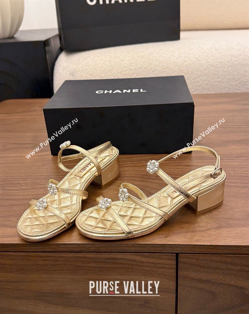 Chanel Lambskin Leather Low Heel Strap Sandals with Bloom Gold 2026 G46964 (MD-260309072)