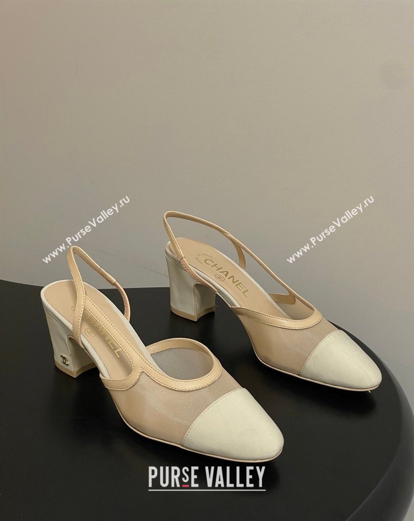 Chanel Mesh Grosgrain Slingbacks Pump 6.5cm Beige 2026 G31318 0309 (MD-260309028)