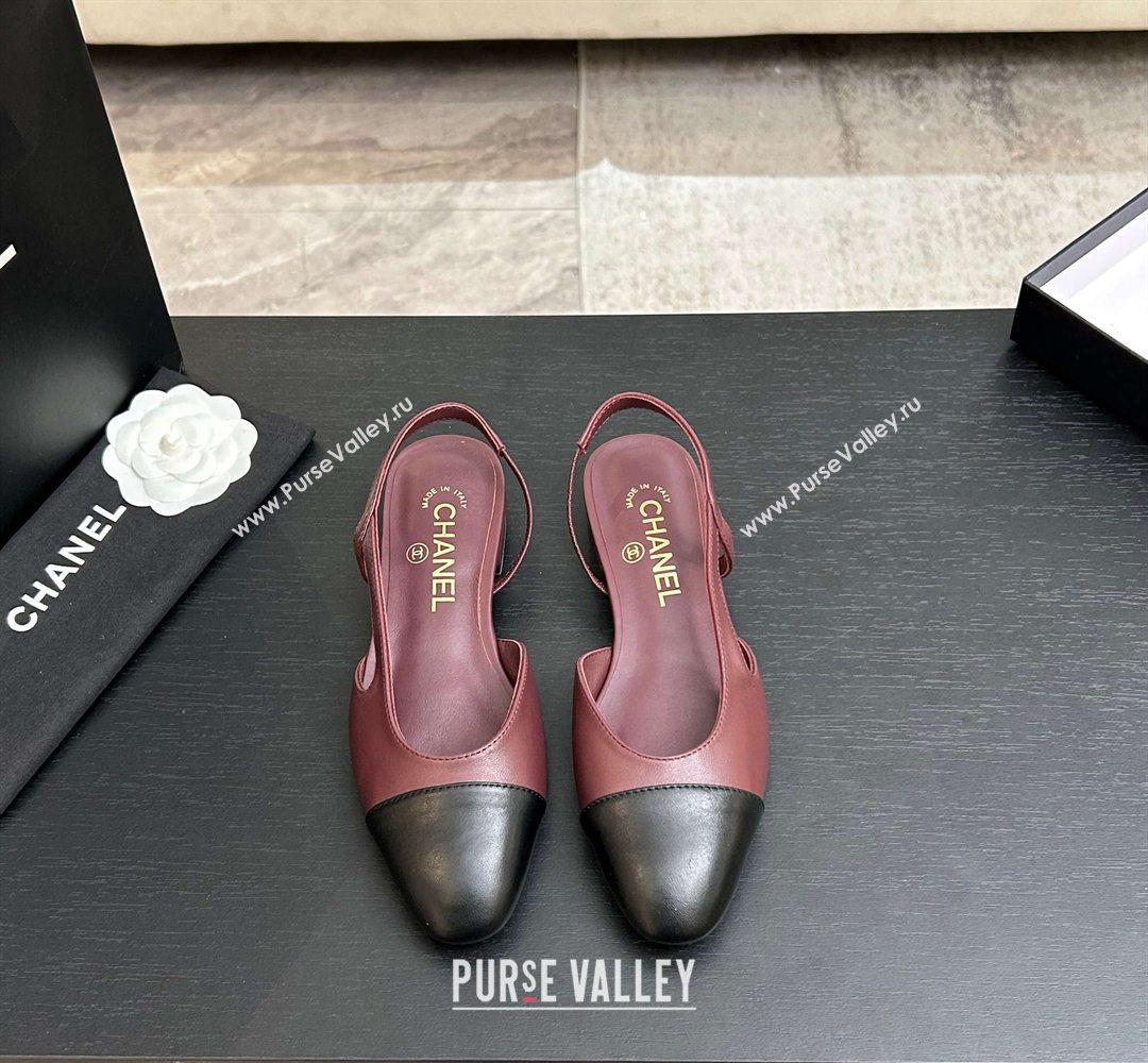 Chanel Lambskin Leather Slingbacks Flat Burgundy/Black 2026 G31319 0309 (MD-260309007)