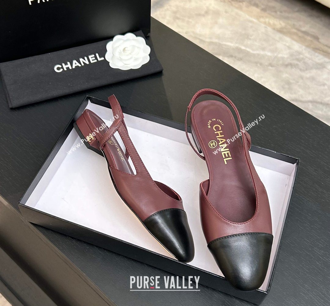 Chanel Lambskin Leather Slingbacks Flat Burgundy/Black 2026 G31319 0309 (MD-260309007)