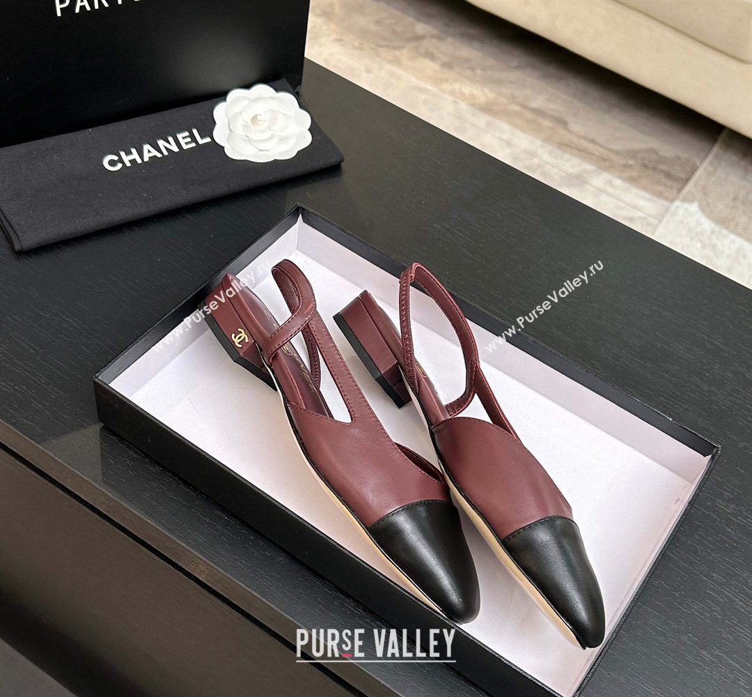 Chanel Lambskin Leather Slingbacks Flat Burgundy/Black 2026 G31319 0309 (MD-260309007)