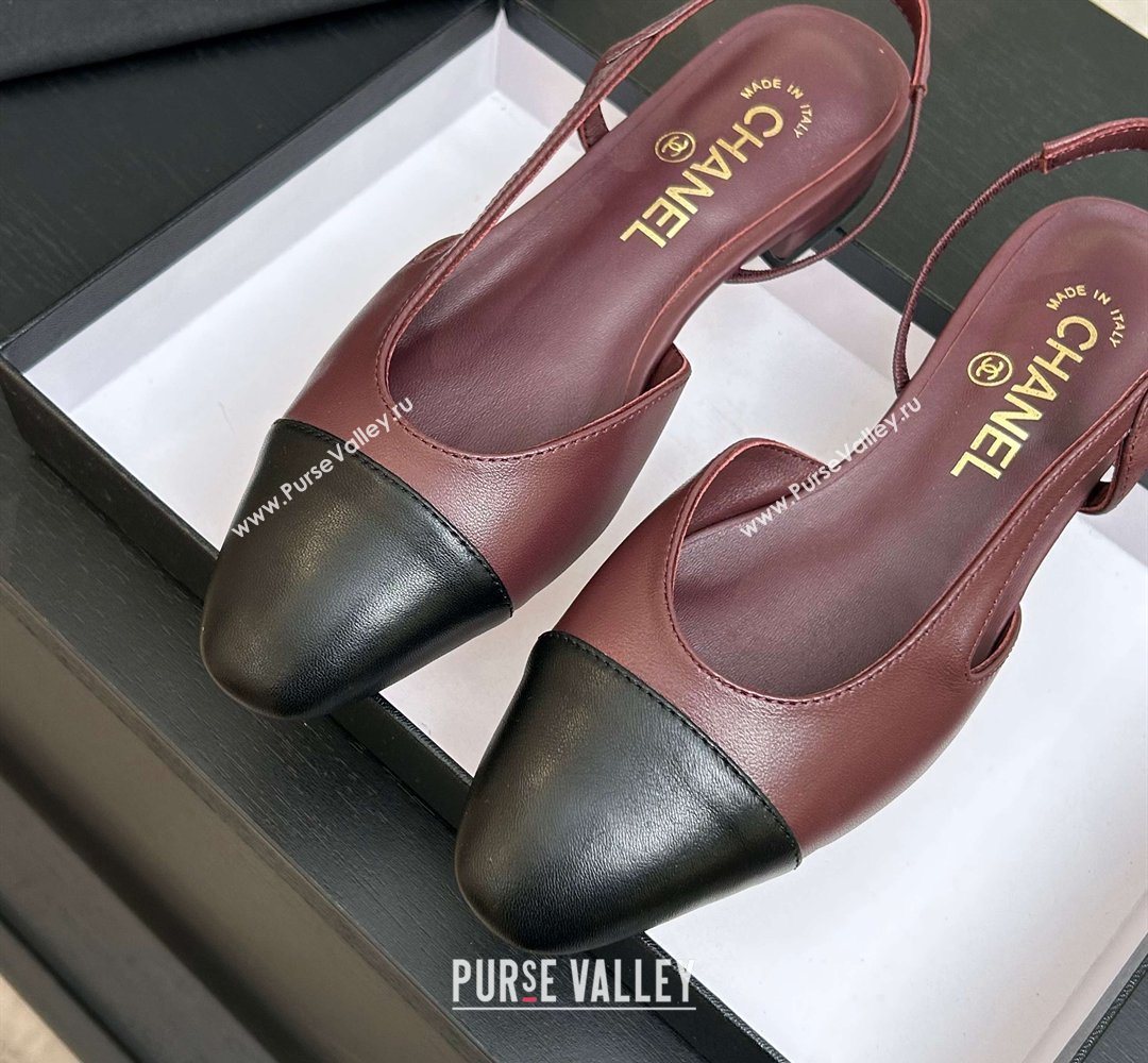 Chanel Lambskin Leather Slingbacks Flat Burgundy/Black 2026 G31319 0309 (MD-260309007)