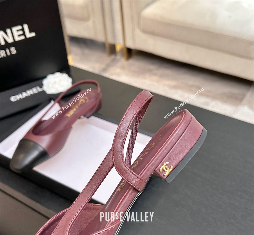 Chanel Lambskin Leather Slingbacks Flat Burgundy/Black 2026 G31319 0309 (MD-260309007)