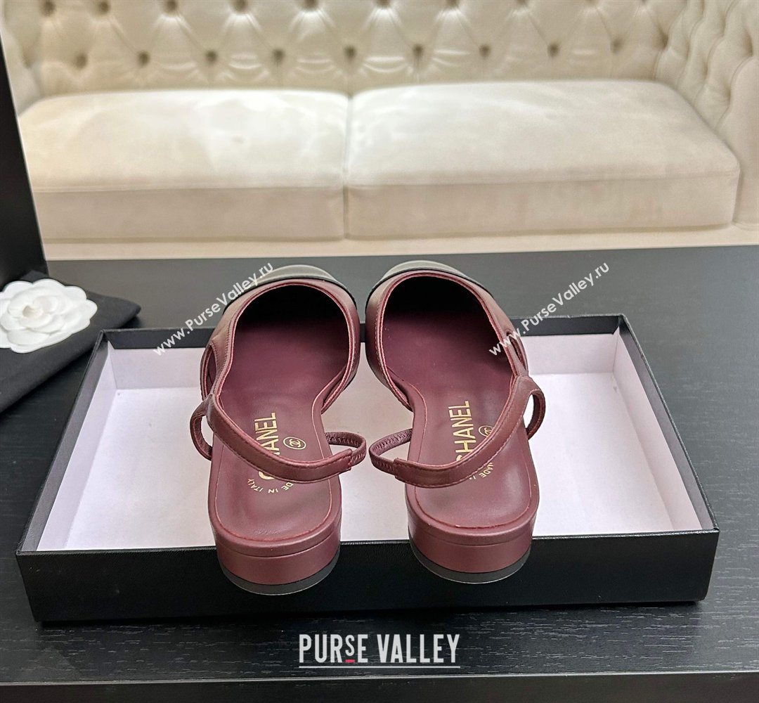 Chanel Lambskin Leather Slingbacks Flat Burgundy/Black 2026 G31319 0309 (MD-260309007)
