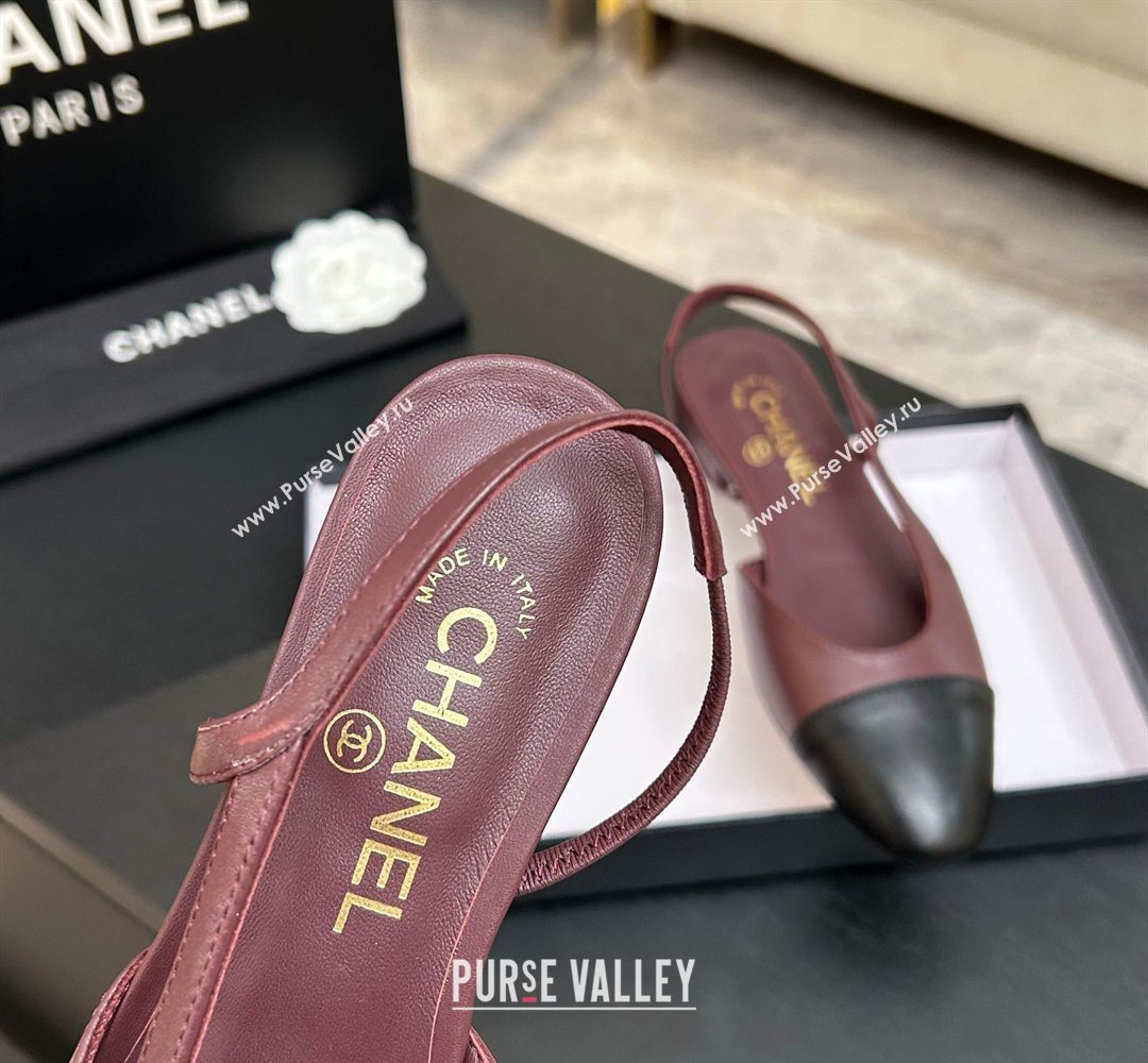 Chanel Lambskin Leather Slingbacks Flat Burgundy/Black 2026 G31319 0309 (MD-260309007)