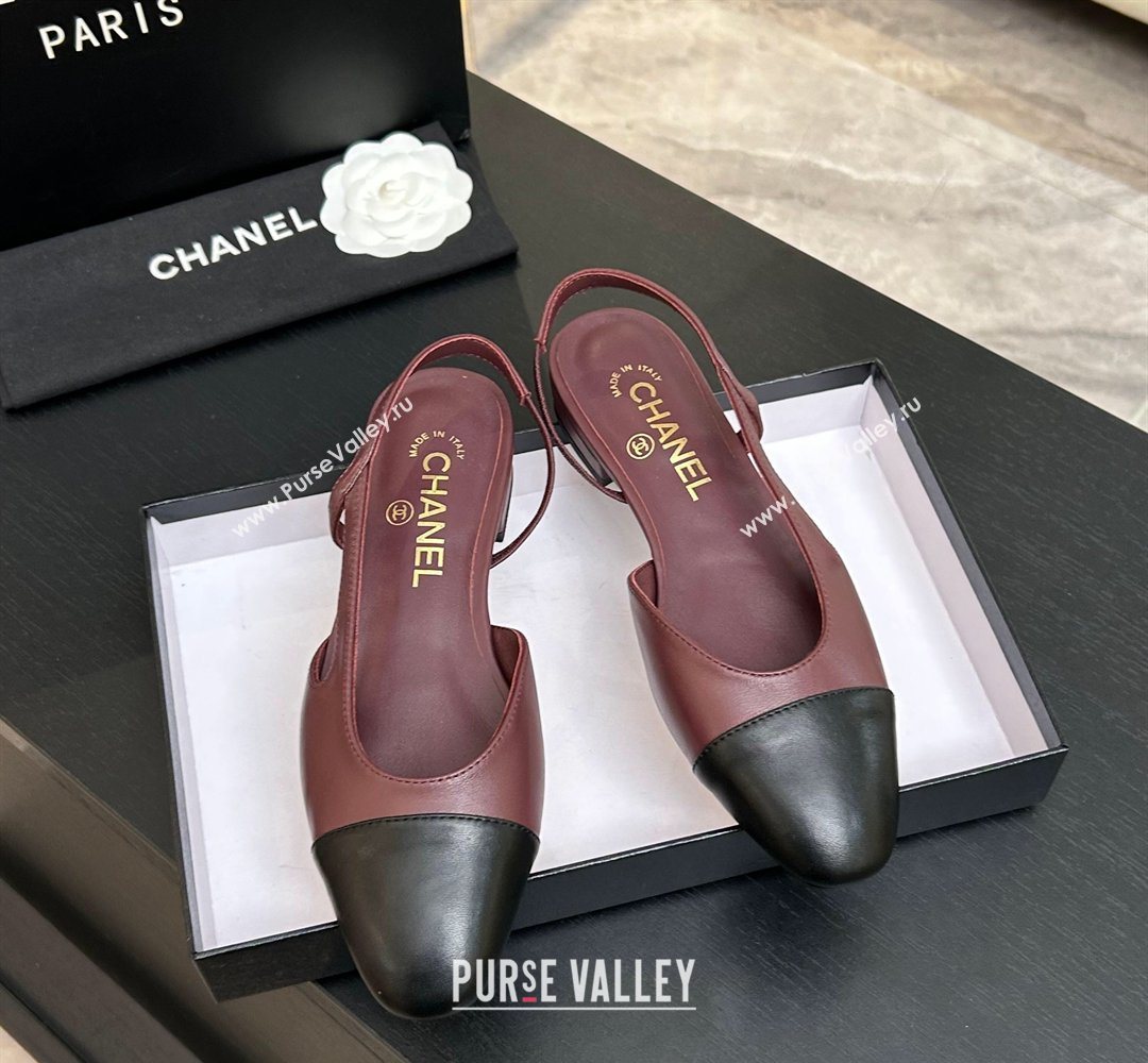 Chanel Lambskin Leather Slingbacks Flat Burgundy/Black 2026 G31319 0309 (MD-260309007)