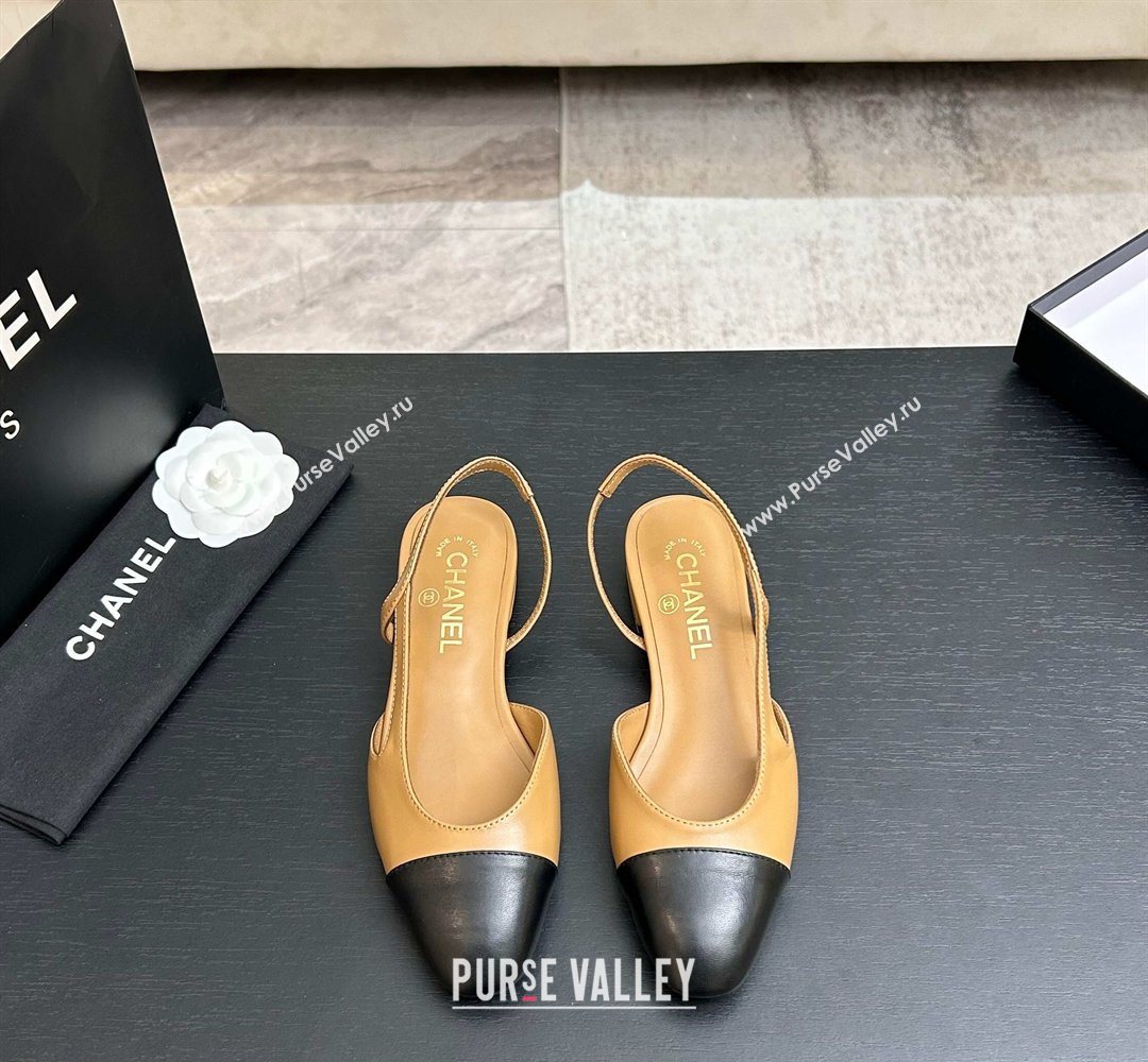 Chanel Lambskin Leather Slingbacks Flat Beige/Black 2026 G31319 0309 (MD-260309008)