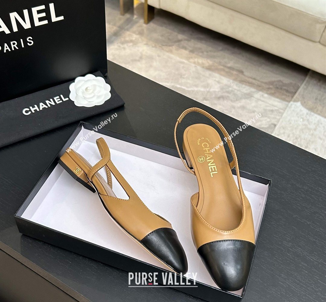 Chanel Lambskin Leather Slingbacks Flat Beige/Black 2026 G31319 0309 (MD-260309008)