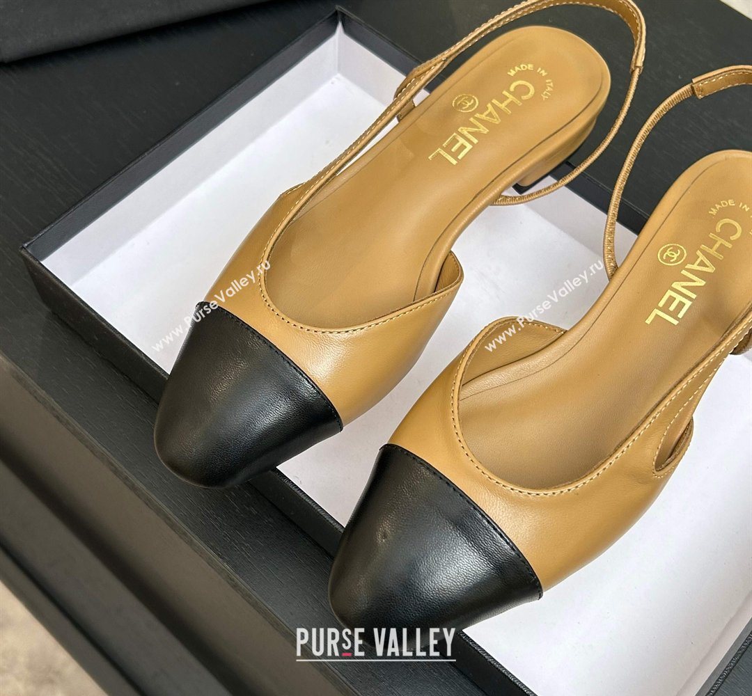Chanel Lambskin Leather Slingbacks Flat Beige/Black 2026 G31319 0309 (MD-260309008)