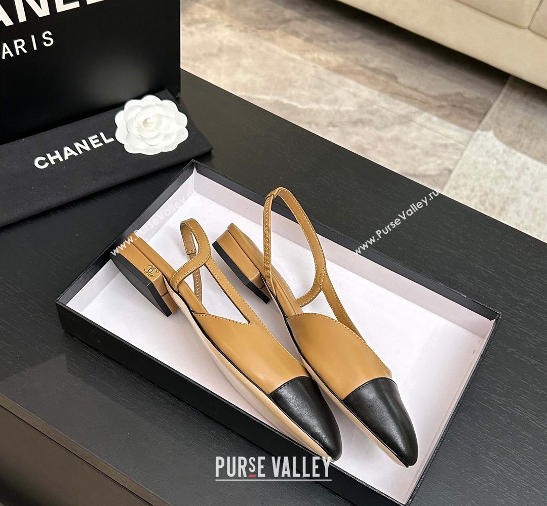 Chanel Lambskin Leather Slingbacks Flat Beige/Black 2026 G31319 0309 (MD-260309008)