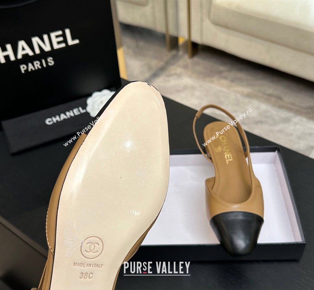 Chanel Lambskin Leather Slingbacks Flat Beige/Black 2026 G31319 0309 (MD-260309008)