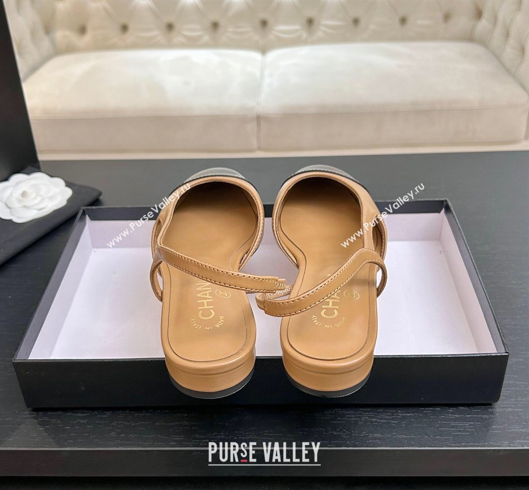 Chanel Lambskin Leather Slingbacks Flat Beige/Black 2026 G31319 0309 (MD-260309008)