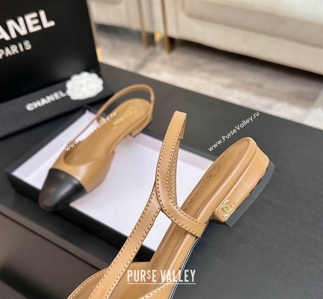 Chanel Lambskin Leather Slingbacks Flat Beige/Black 2026 G31319 0309 (MD-260309008)