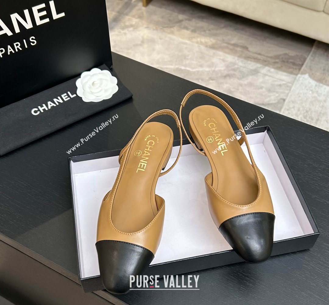 Chanel Lambskin Leather Slingbacks Flat Beige/Black 2026 G31319 0309 (MD-260309008)