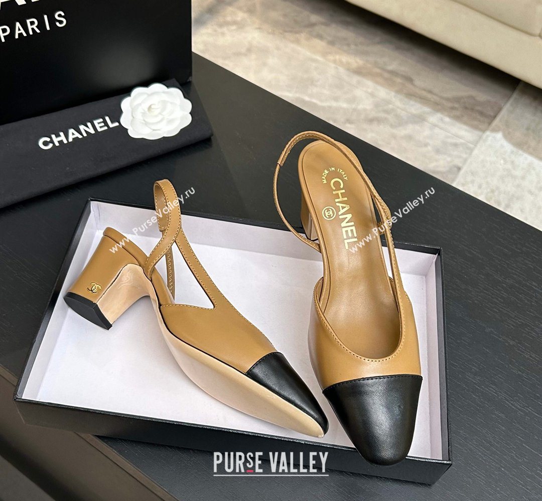 Chanel Lambskin Leather Slingbacks Pump 6.5cm Beige/Black 2026 G31318 0309 (MD-260309015)