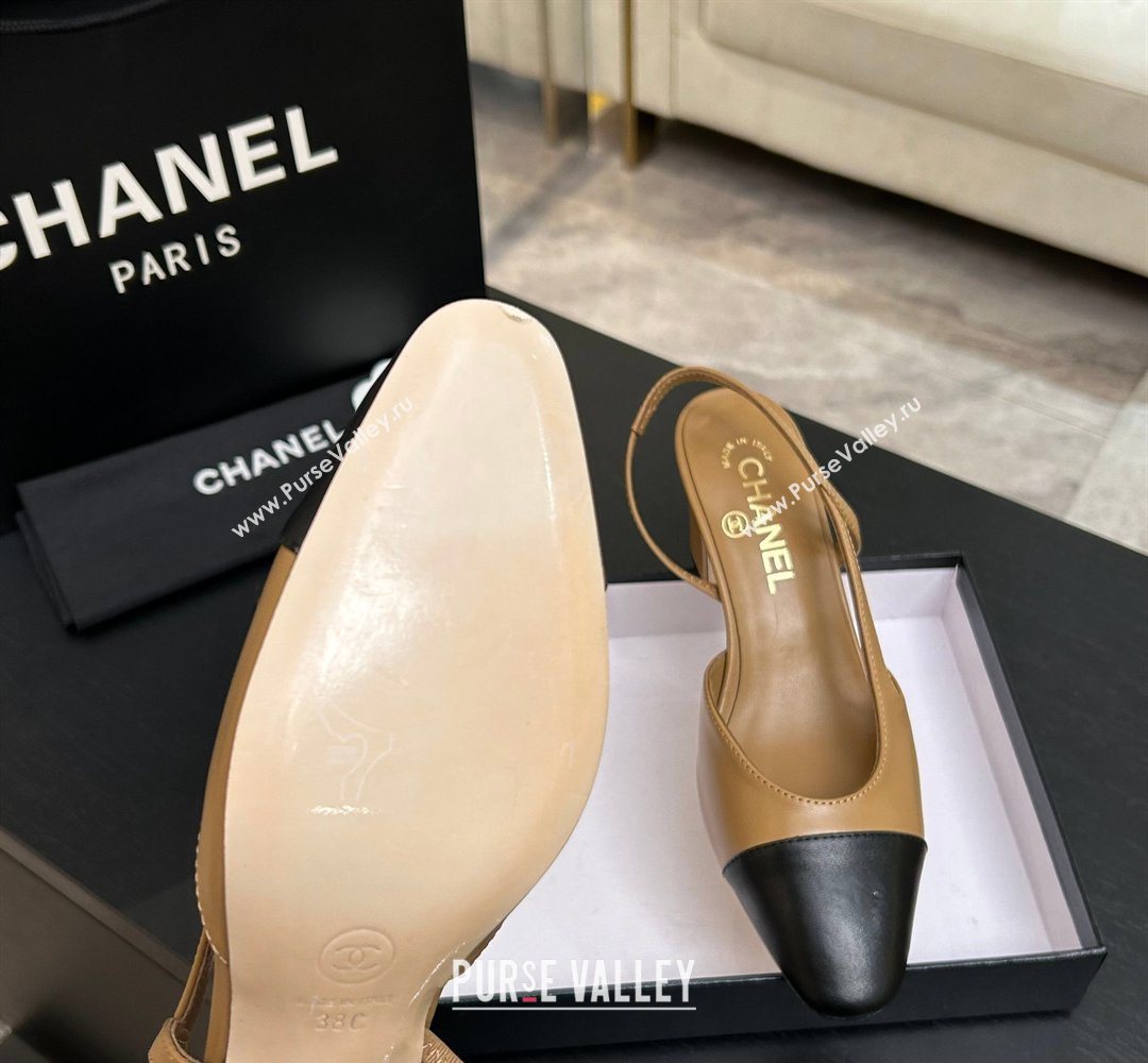 Chanel Lambskin Leather Slingbacks Pump 6.5cm Beige/Black 2026 G31318 0309 (MD-260309015)
