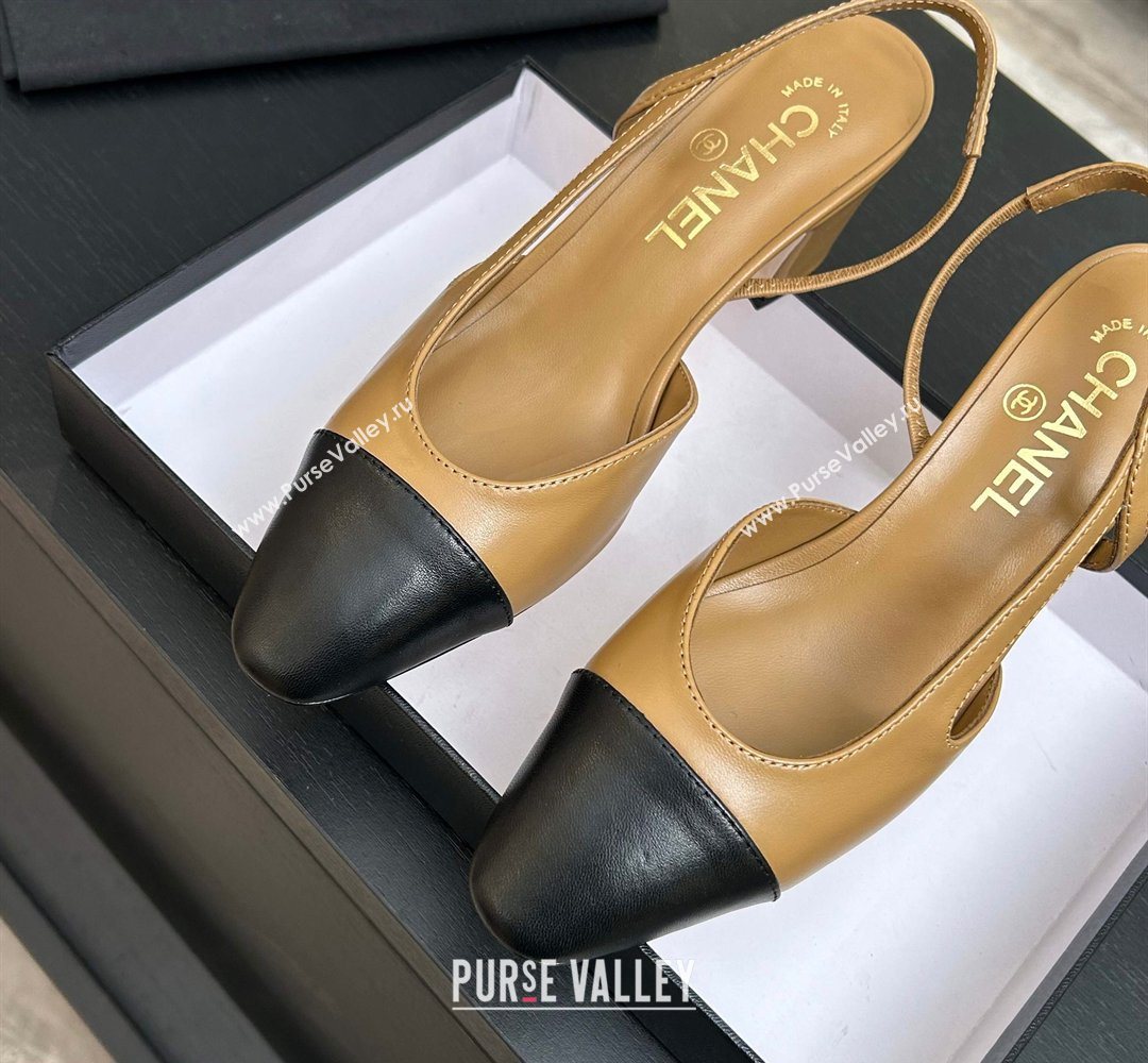 Chanel Lambskin Leather Slingbacks Pump 6.5cm Beige/Black 2026 G31318 0309 (MD-260309015)