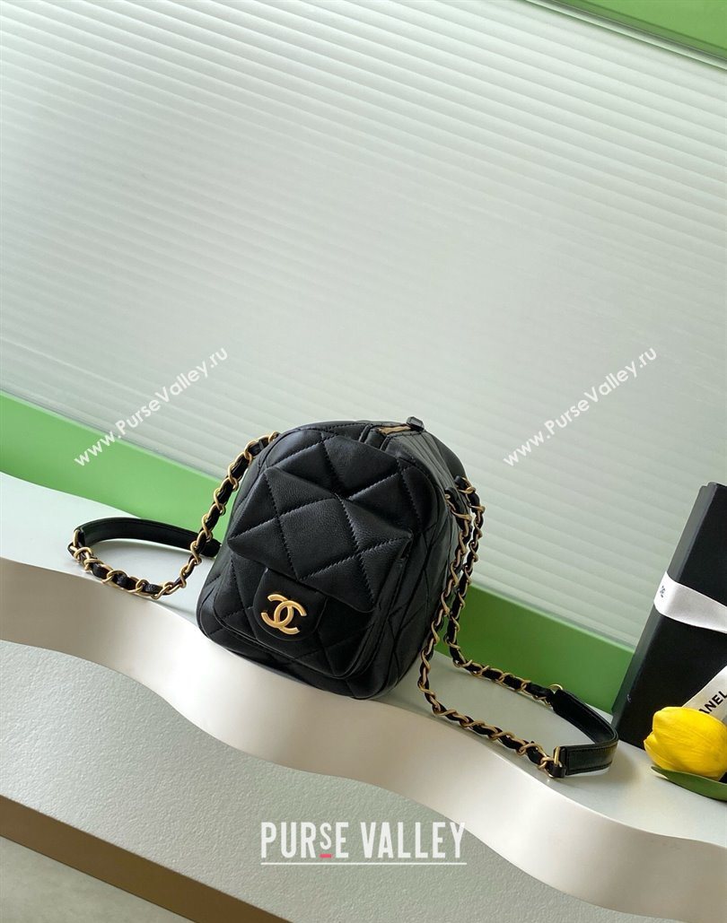 Chanel Small Calfskin Leather Bowling Bag Black 2025 AS5792 (yezi-251127026)