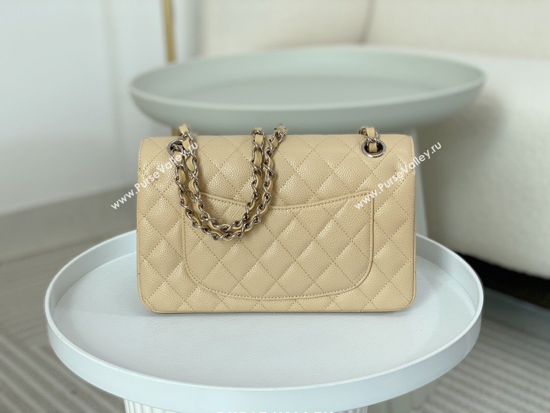 Chanel Grained Calfskin Classic Small Flap Bag A01113 Apricot/Silver 2023 (SM-231227042)