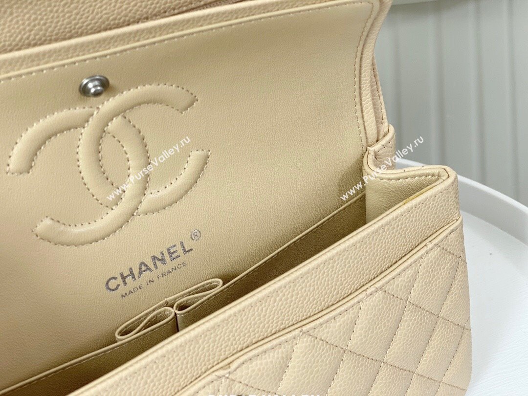 Chanel Grained Calfskin Classic Small Flap Bag A01113 Apricot/Silver 2023 (SM-231227042)