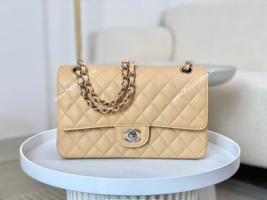 Chanel Grained Calfskin Classic Medium Flap Bag A01112 Apricot/Silver 2023 (SM-231227040)