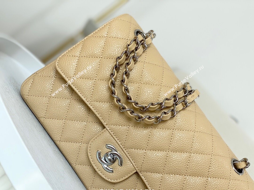 Chanel Grained Calfskin Classic Medium Flap Bag A01112 Apricot/Silver 2023 (SM-231227040)