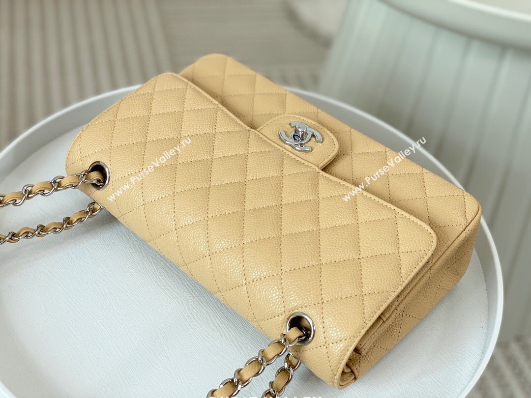 Chanel Grained Calfskin Classic Medium Flap Bag A01112 Apricot/Silver 2023 (SM-231227040)