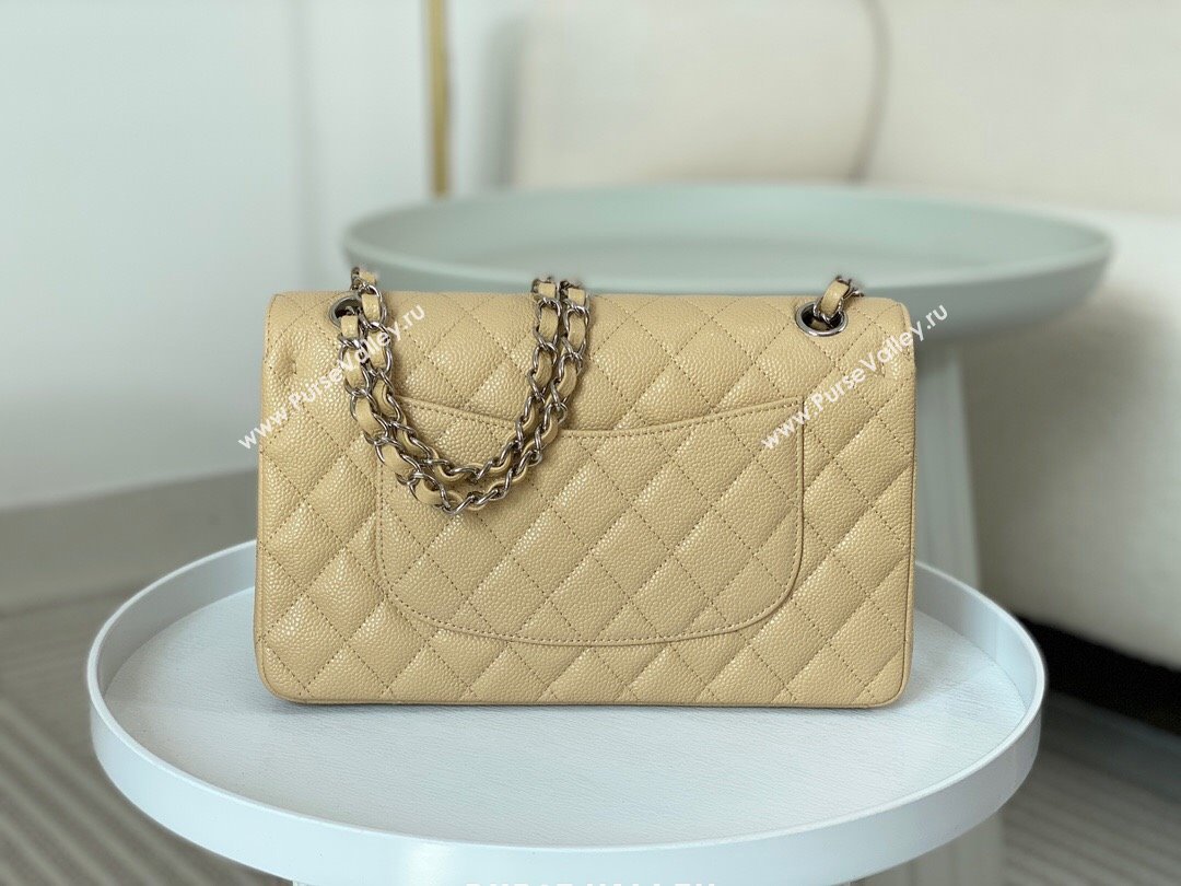 Chanel Grained Calfskin Classic Medium Flap Bag A01112 Apricot/Silver 2023 (SM-231227040)