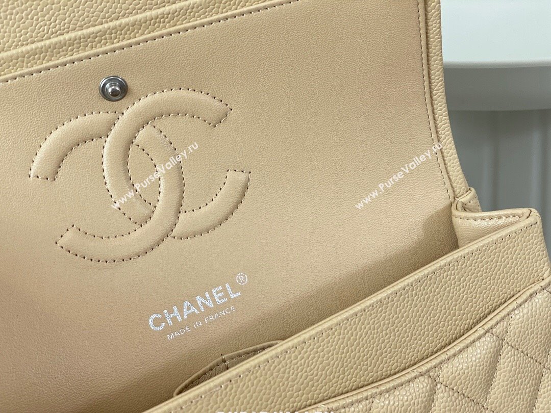 Chanel Grained Calfskin Classic Medium Flap Bag A01112 Apricot/Silver 2023 (SM-231227040)