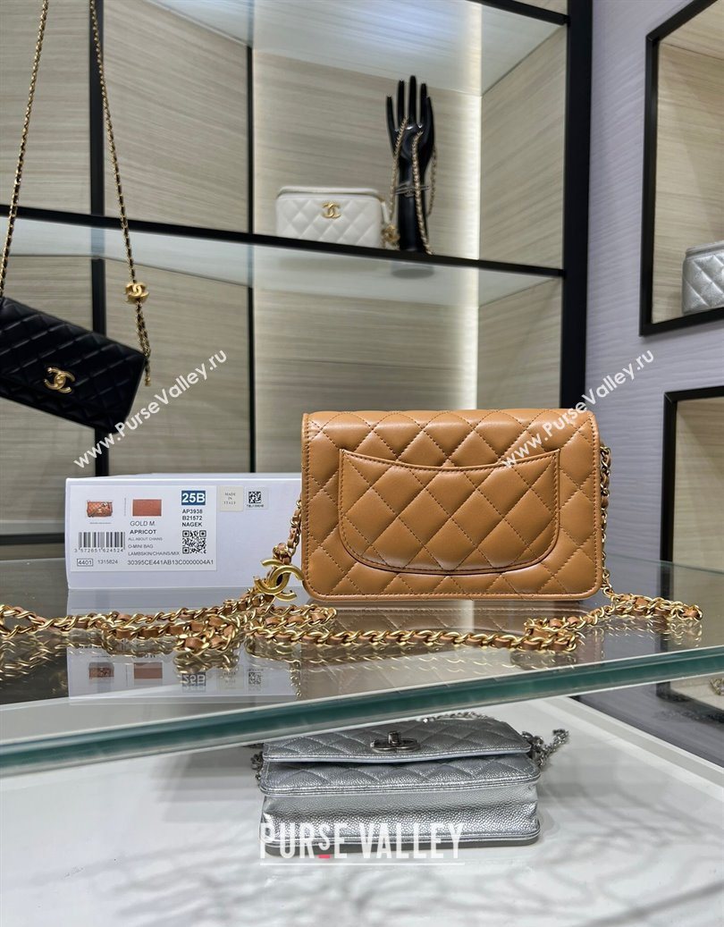 Chanel Shiny Lambskin Wallet On Chain WOC AP3938 Brown 2025 (yezi-251011053)