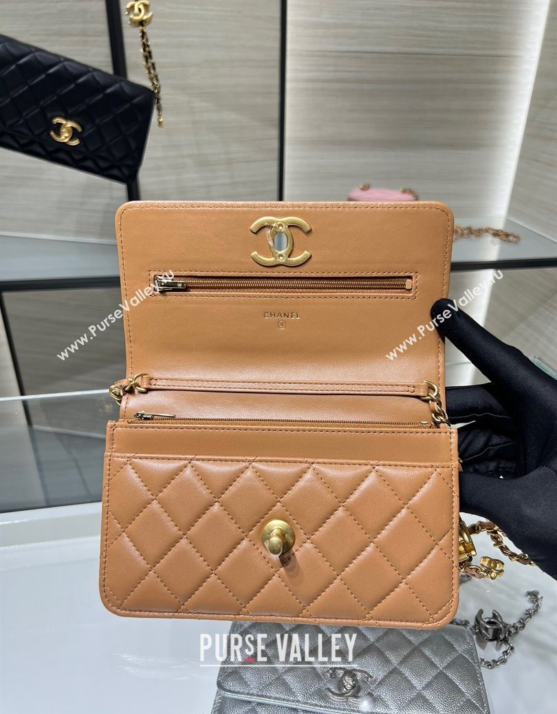 Chanel Shiny Lambskin Wallet On Chain WOC AP3938 Brown 2025 (yezi-251011053)