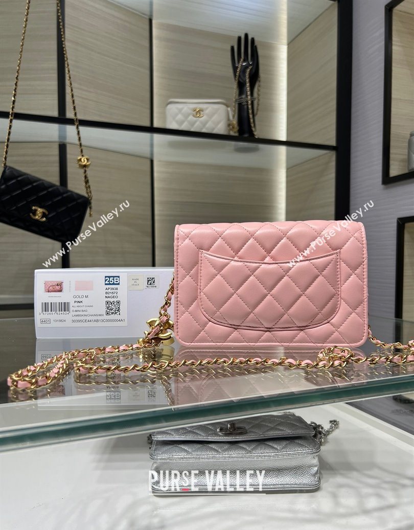 Chanel Shiny Lambskin Wallet On Chain WOC AP3938 Pink 2025 (yezi-251011052)