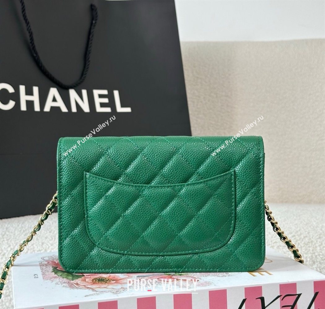 Chanel Grained Calfskin Classic Wallet on Chain WOC Green2/Gold 2025 AP4241 (YMU-250703073)