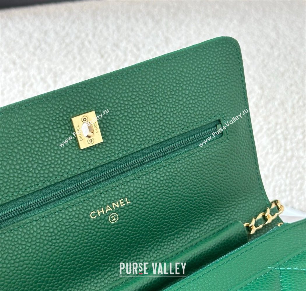 Chanel Grained Calfskin Classic Wallet on Chain WOC Green2/Gold 2025 AP4241 (YMU-250703073)