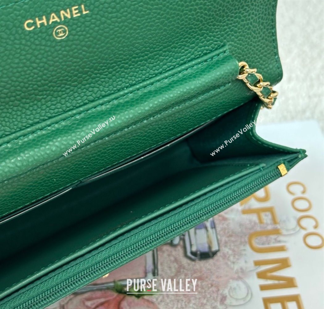 Chanel Grained Calfskin Classic Wallet on Chain WOC Green2/Gold 2025 AP4241 (YMU-250703073)
