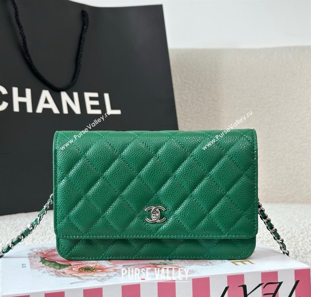 Chanel Grained Calfskin Classic Wallet on Chain WOC Green2/Silver 2025 AP4241 (YMU-250703074)