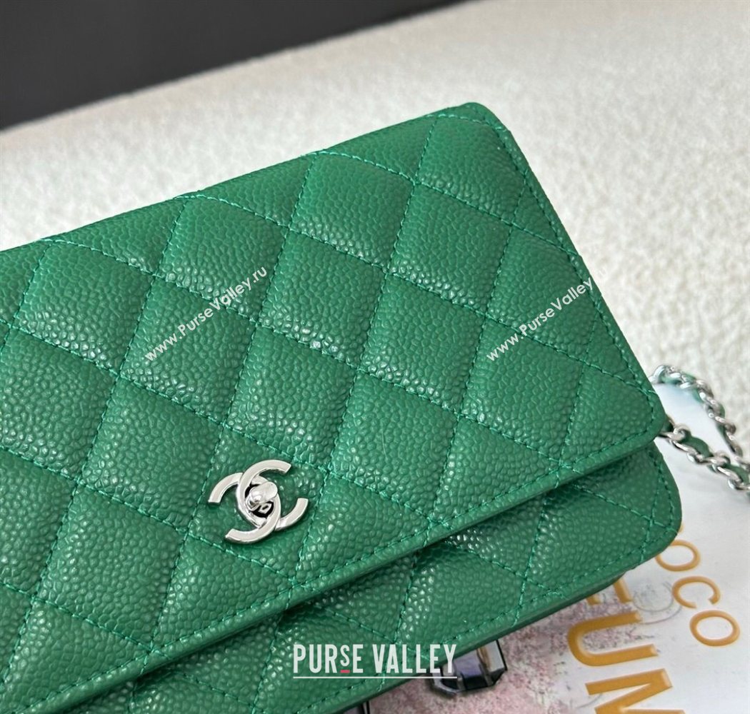 Chanel Grained Calfskin Classic Wallet on Chain WOC Green2/Silver 2025 AP4241 (YMU-250703074)