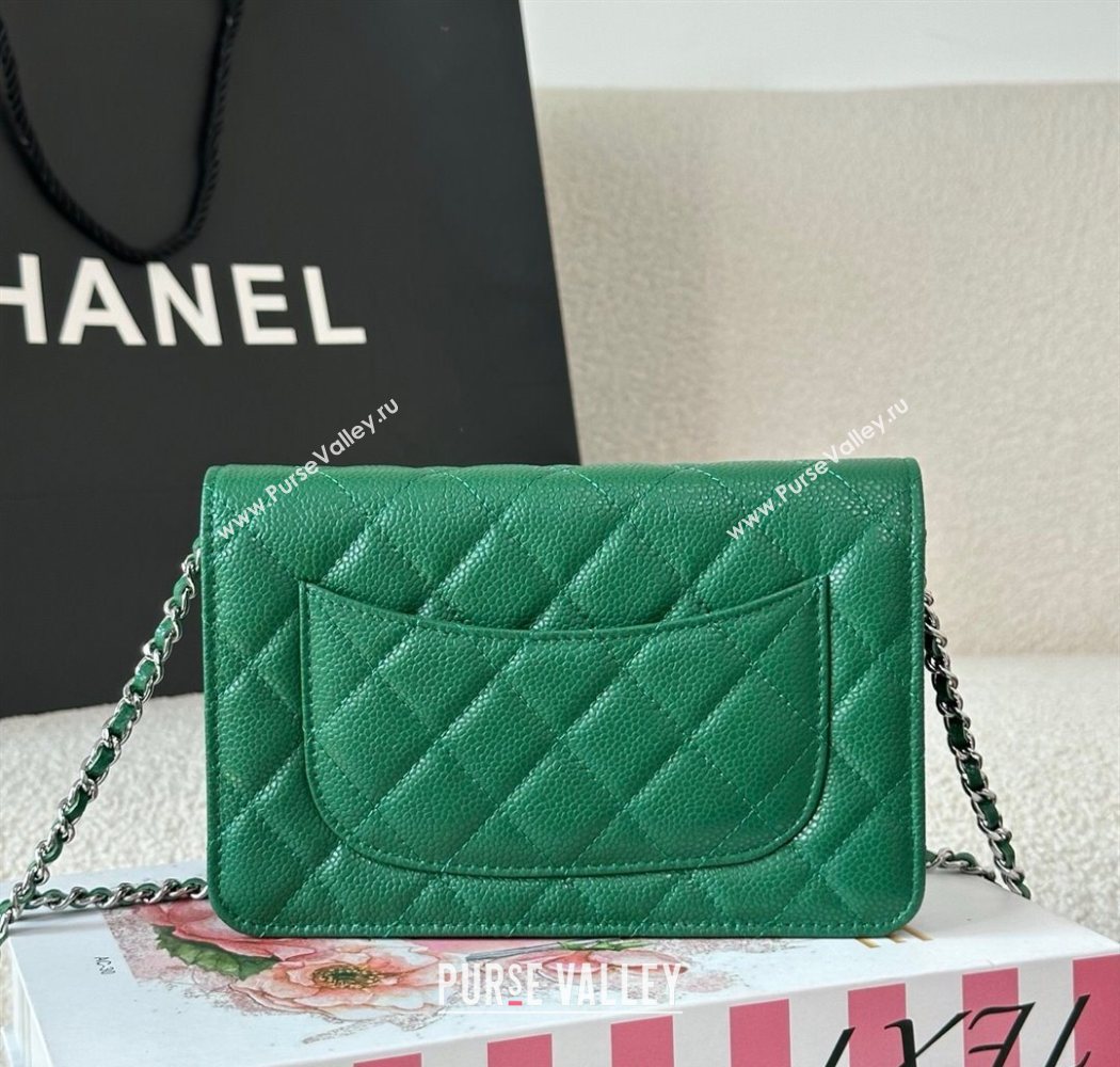 Chanel Grained Calfskin Classic Wallet on Chain WOC Green2/Silver 2025 AP4241 (YMU-250703074)