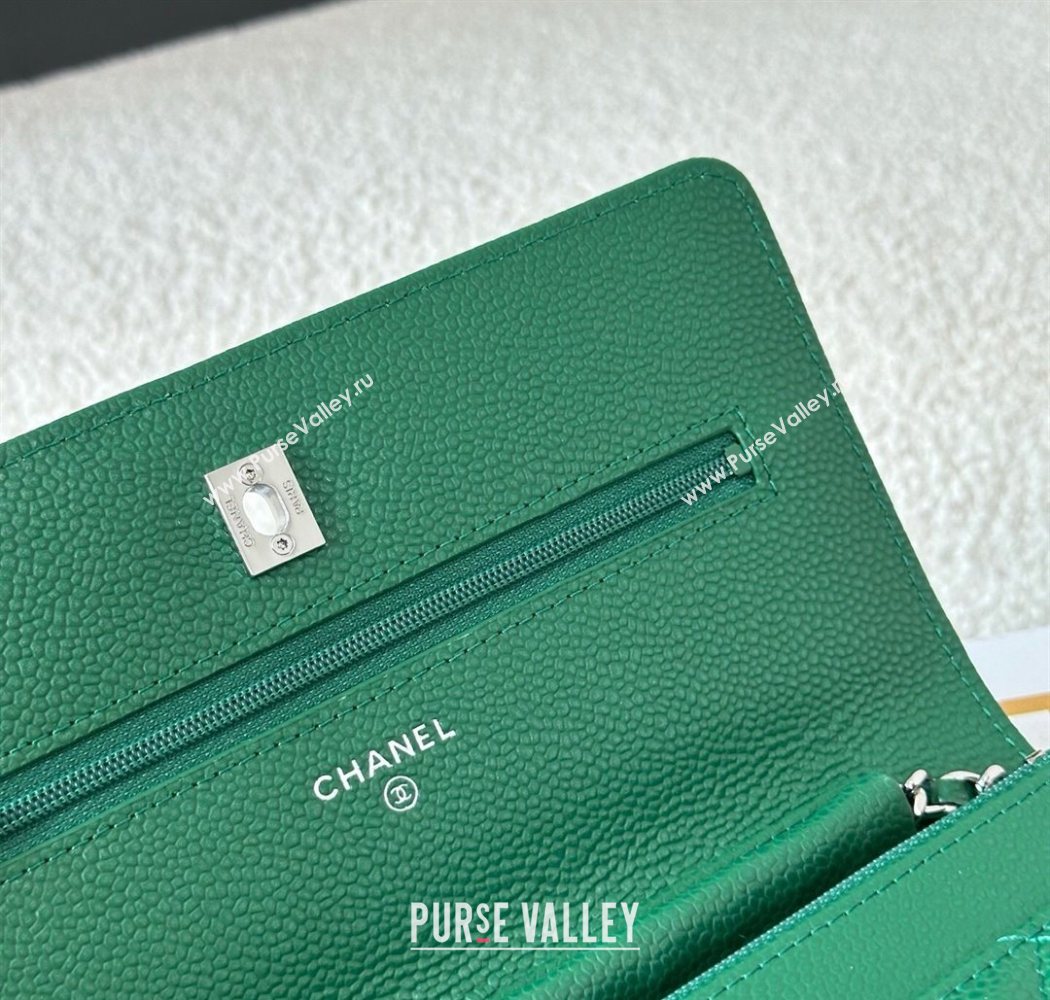 Chanel Grained Calfskin Classic Wallet on Chain WOC Green2/Silver 2025 AP4241 (YMU-250703074)