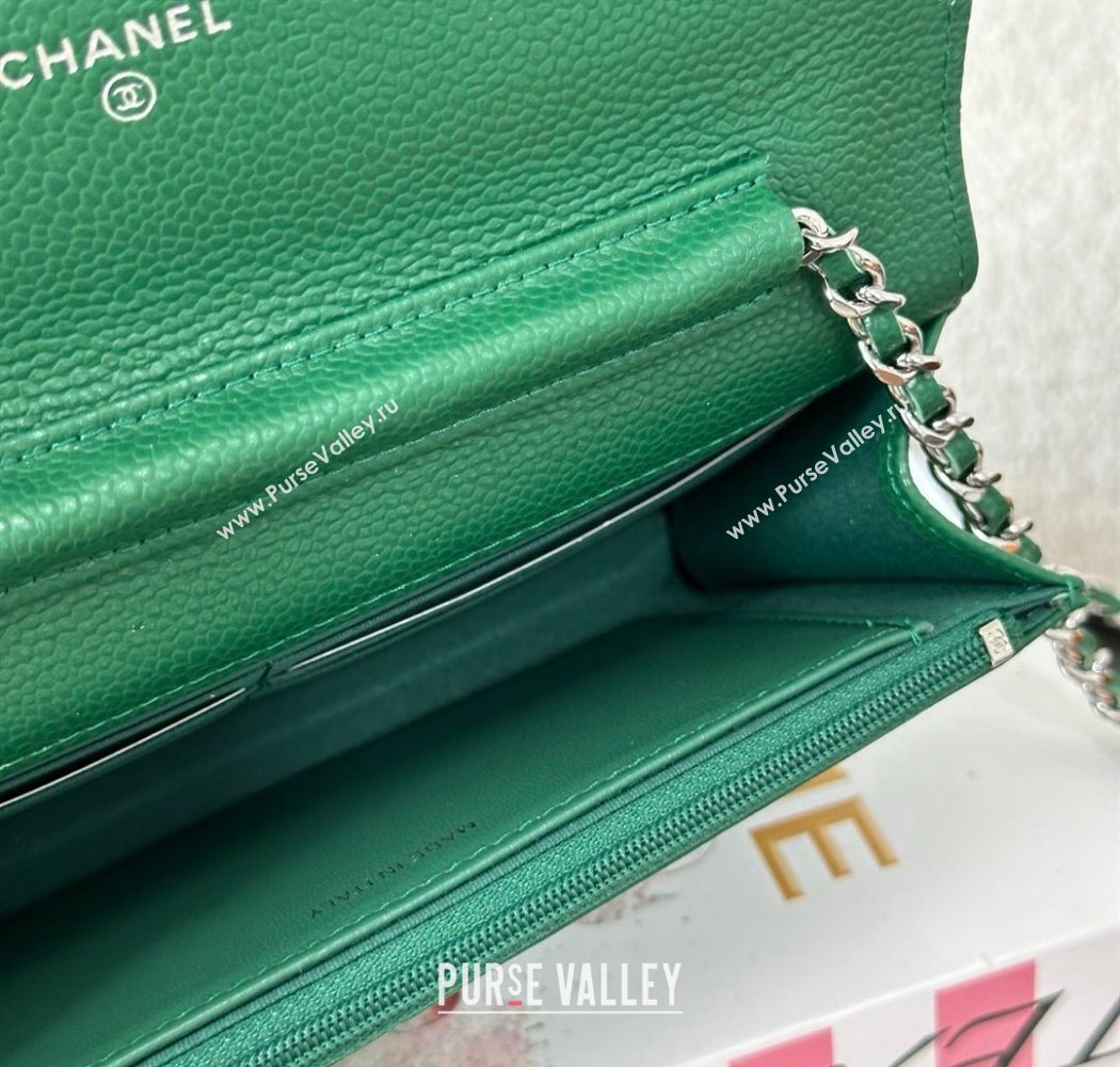 Chanel Grained Calfskin Classic Wallet on Chain WOC Green2/Silver 2025 AP4241 (YMU-250703074)