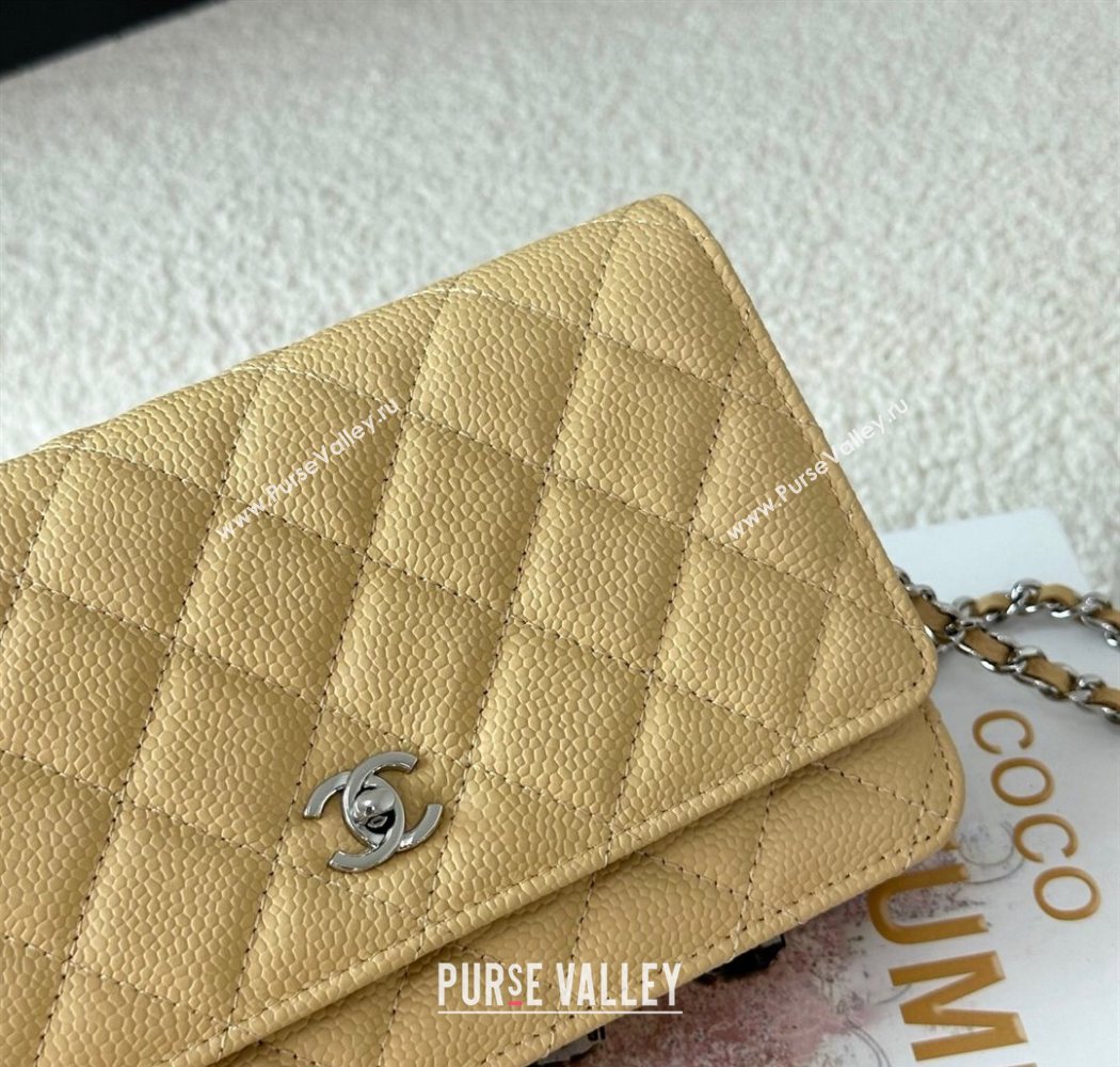 Chanel Grained Calfskin Classic Wallet on Chain WOC Yellow/Silver 2025 AP4241 (YMU-250703084)