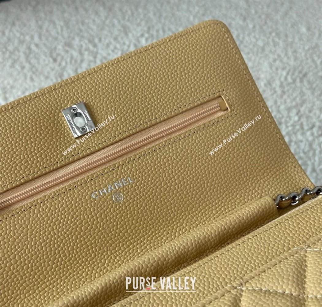 Chanel Grained Calfskin Classic Wallet on Chain WOC Yellow/Silver 2025 AP4241 (YMU-250703084)
