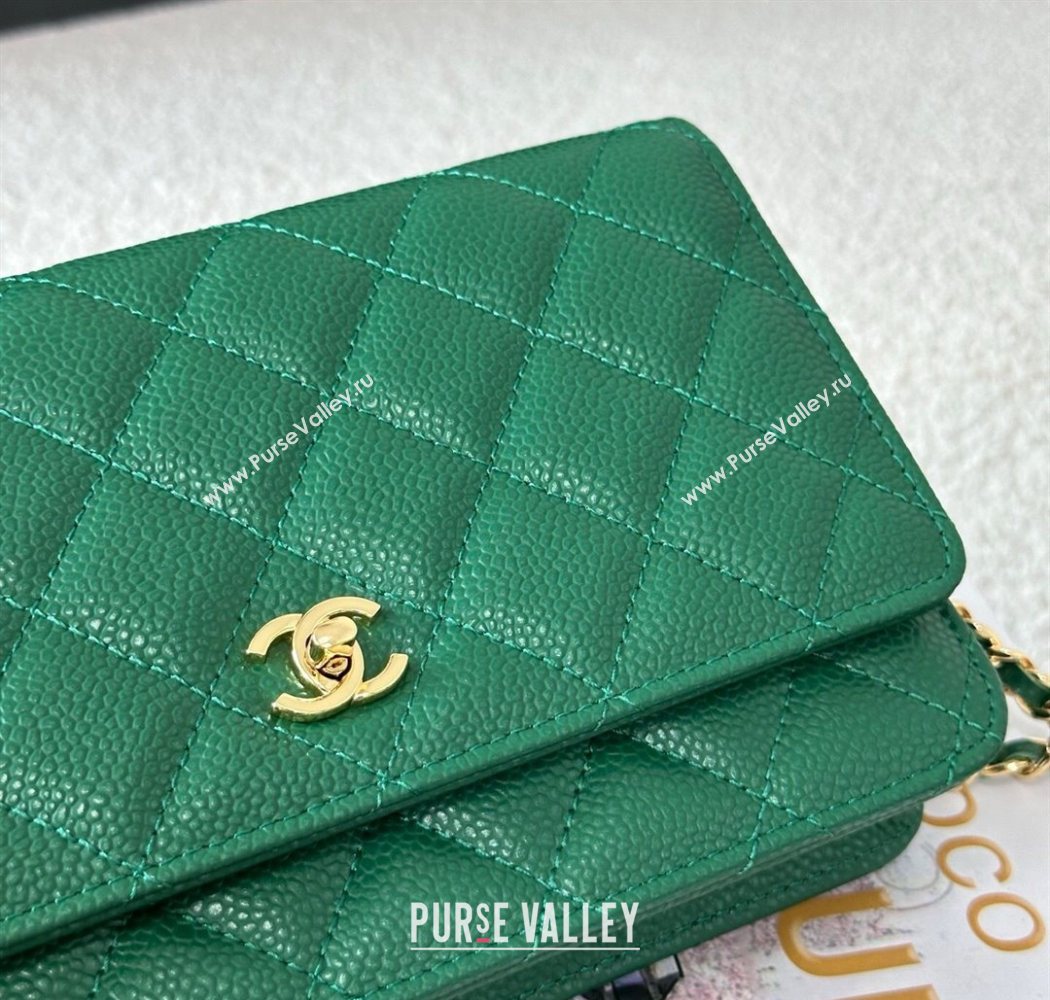 Chanel Grained Calfskin Classic Wallet on Chain WOC Green2/Gold 2025 AP4241 (YMU-250703073)