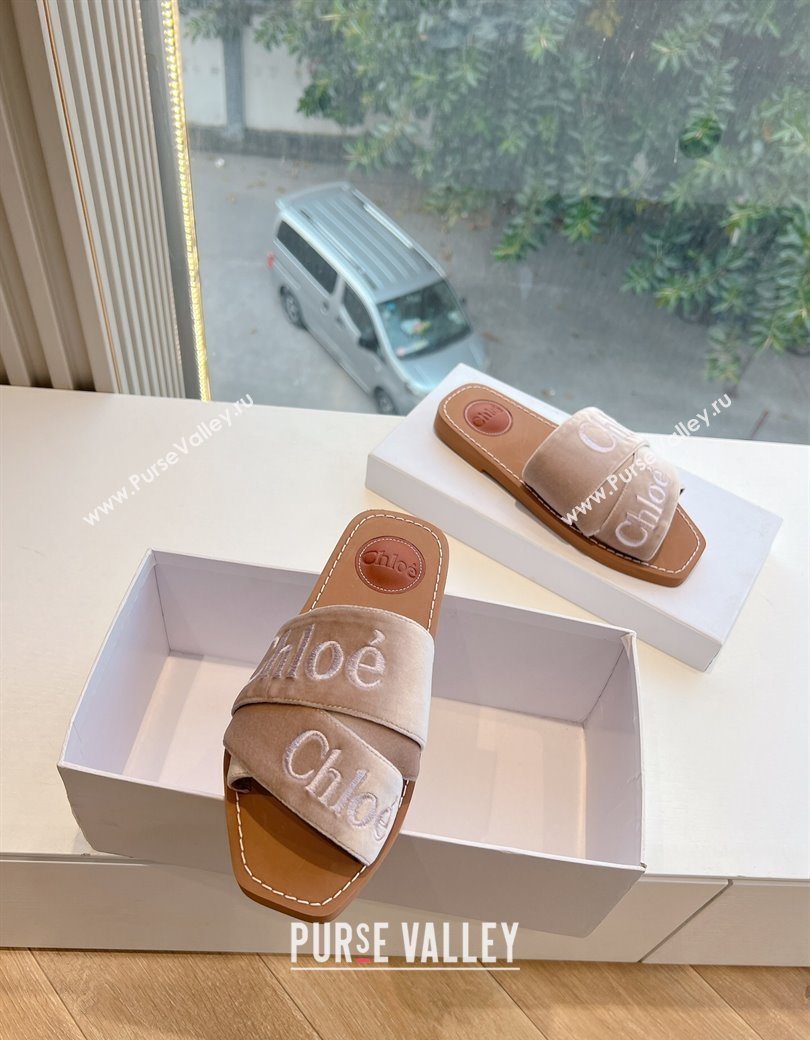 Chloe Woody Flat Square-toe Slides Sandal in Velvet Beige 2025 G076 (KL-250220028)
