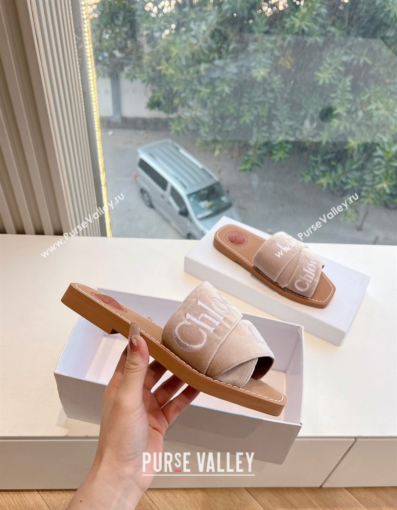 Chloe Woody Flat Square-toe Slides Sandal in Velvet Beige 2025 G076 (KL-250220028)