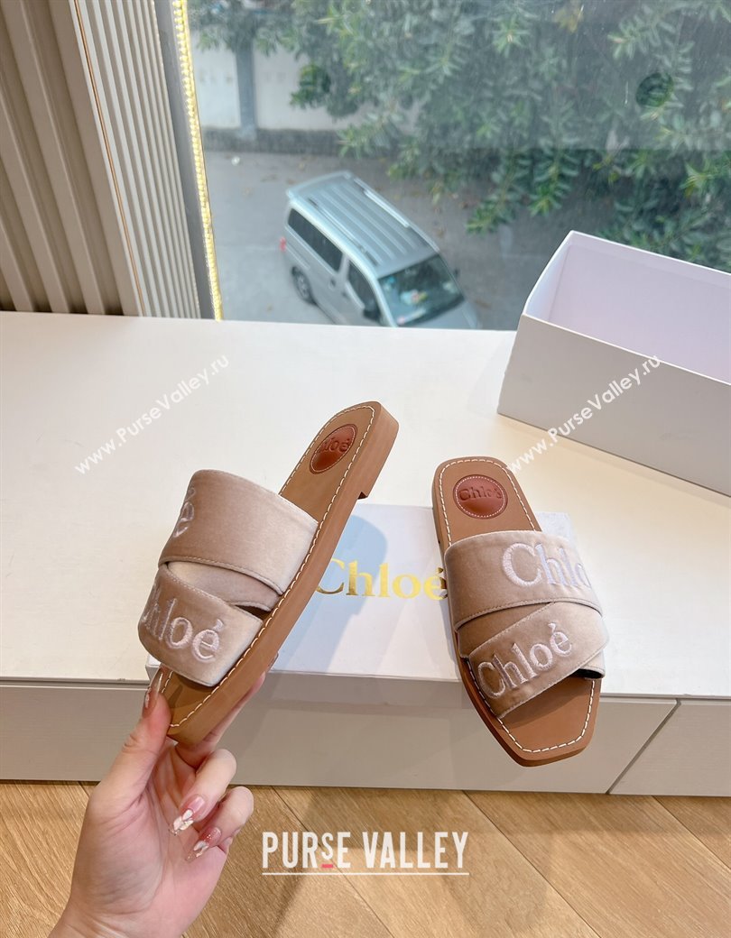 Chloe Woody Flat Square-toe Slides Sandal in Velvet Beige 2025 G076 (KL-250220028)