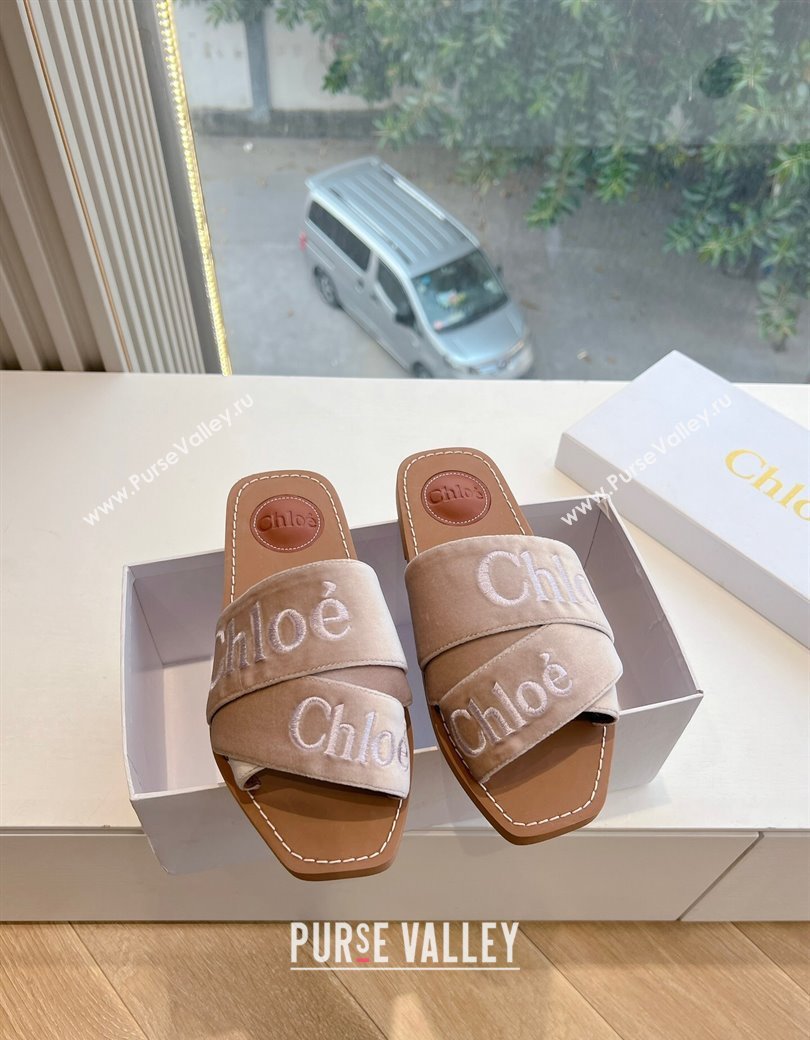 Chloe Woody Flat Square-toe Slides Sandal in Velvet Beige 2025 G076 (KL-250220028)