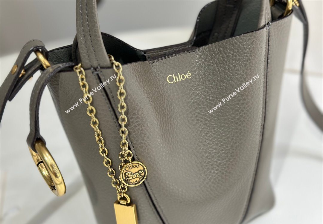 Chloe Small Spin Tote Bag in Grained Leather Grey 2025 1120 (DLA-251120055)