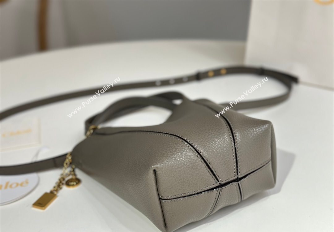 Chloe Small Spin Tote Bag in Grained Leather Grey 2025 1120 (DLA-251120055)